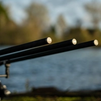 Daiwa Black Widow + Carp Rods